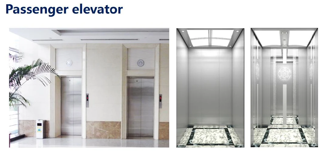 Various Design Passenger Elevator/ Passenger Lift